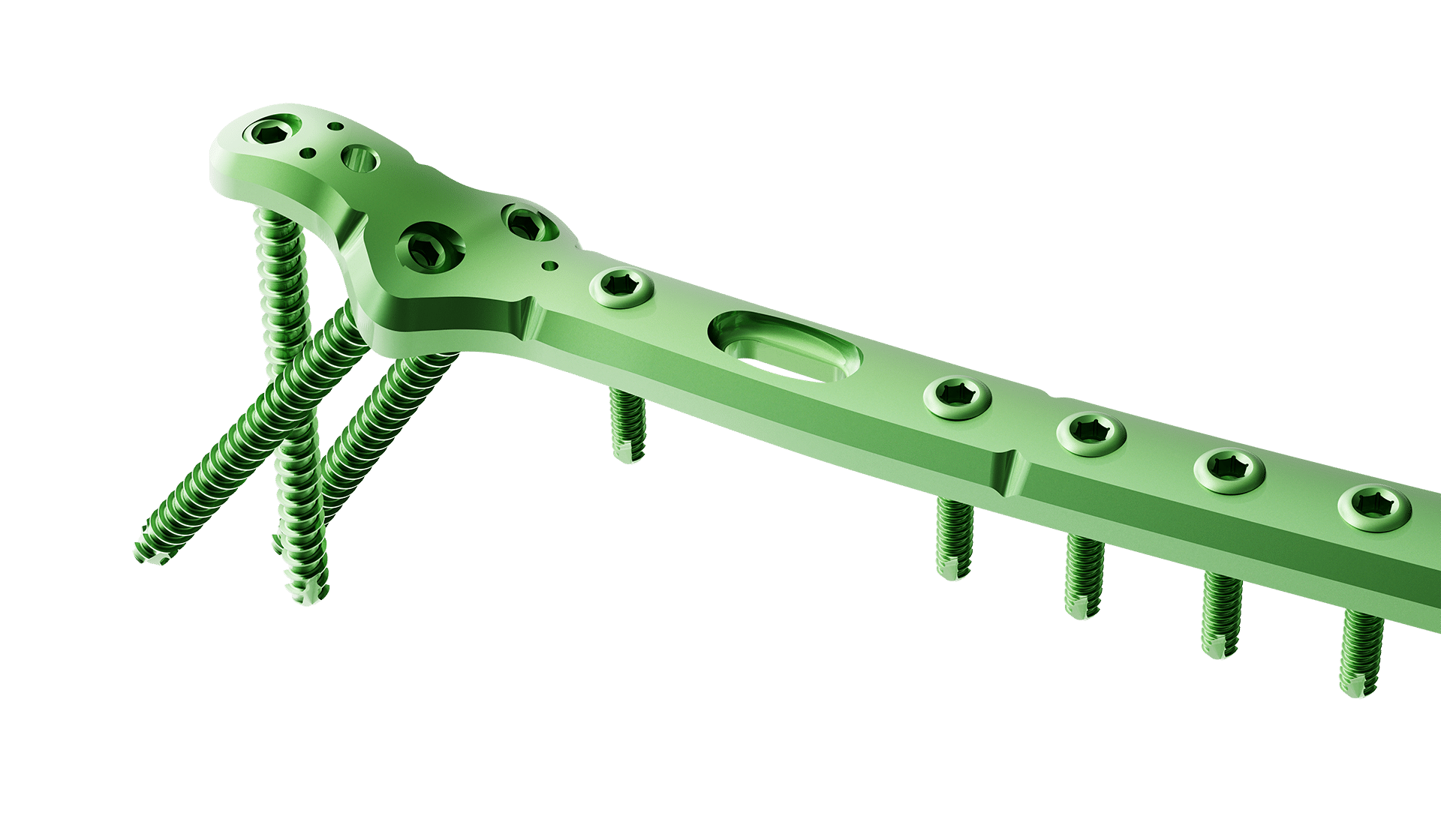 Proksimal Femur Lateral Anatomik Plak